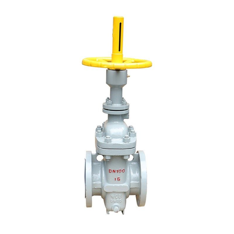 Z43F-16C 铸钢带导流孔平板闸阀DN50 65 80 100 125 150 200 250,鲜花速递/花卉仿真/绿植园艺,洒水/浇水壶,淘宝优惠券,粉丝福利购,淘宝优惠卷