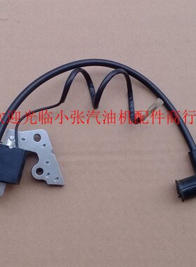 汽油发电机配件 2kw3kw ey20罗宾高压包 点火器 RGX2400点火线圈
