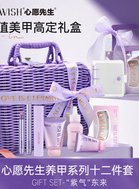 MR.WISH心愿先生/小胖紫礼盒装穿戴甲固态胶专用美甲烤灯牢固贴片