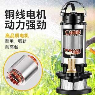 潜水泵220v不锈钢家用高扬程小型抽水机抽水泵农用灌溉污水泵井水