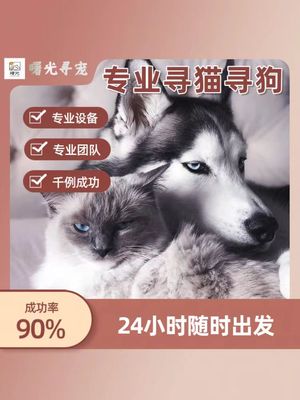 找猫寻狗团队 专业设备寻找丢失宠物 全国成都重庆