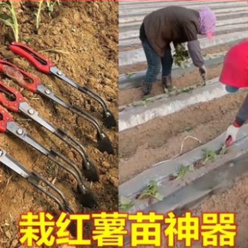 种葱神器栽葱f栽苗器打眼大葱叉子自动打孔工具洋葱种菜移栽移苗