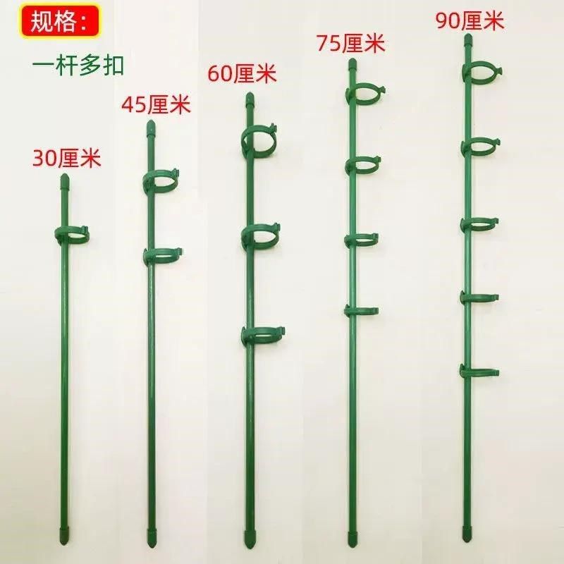 植物支伸缩杆花架朱顶红防倒伏支架园艺吊兰月季番茄架子绿植爬藤,农用物资,苗木固定器/支撑器,淘宝优惠券,粉丝福利购,淘宝优惠卷
