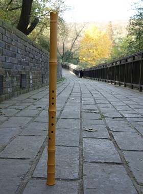 任箫南箫G调F调通口箫短箫合成箫便携箫树脂萧不霉不裂南萧八孔箫