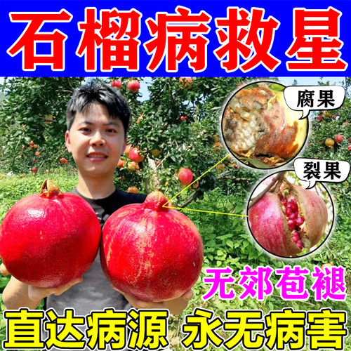 石榴树专用药干腐褐斑病
