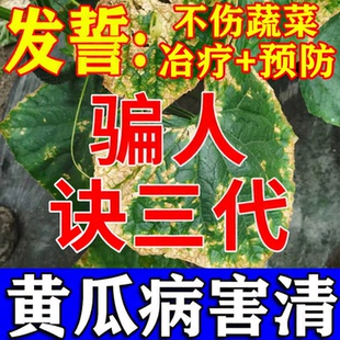黄瓜病害清治疗黄瓜杀虫白粉靶斑黄点病毒病专用特药效全治叶面肥