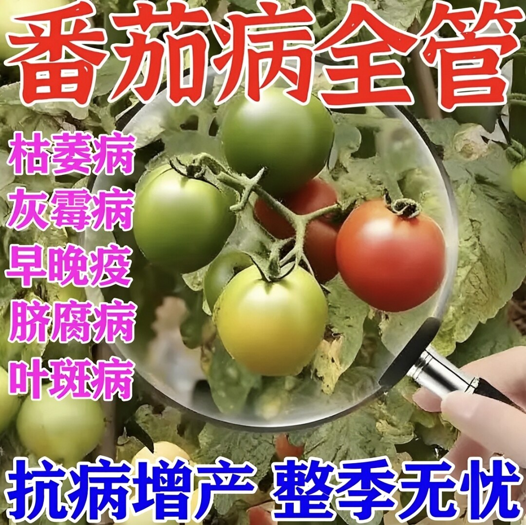 番茄病菌清西红柿病毒病专用药肥料卷叶疫菌清黄叶萎灰霉病害全治