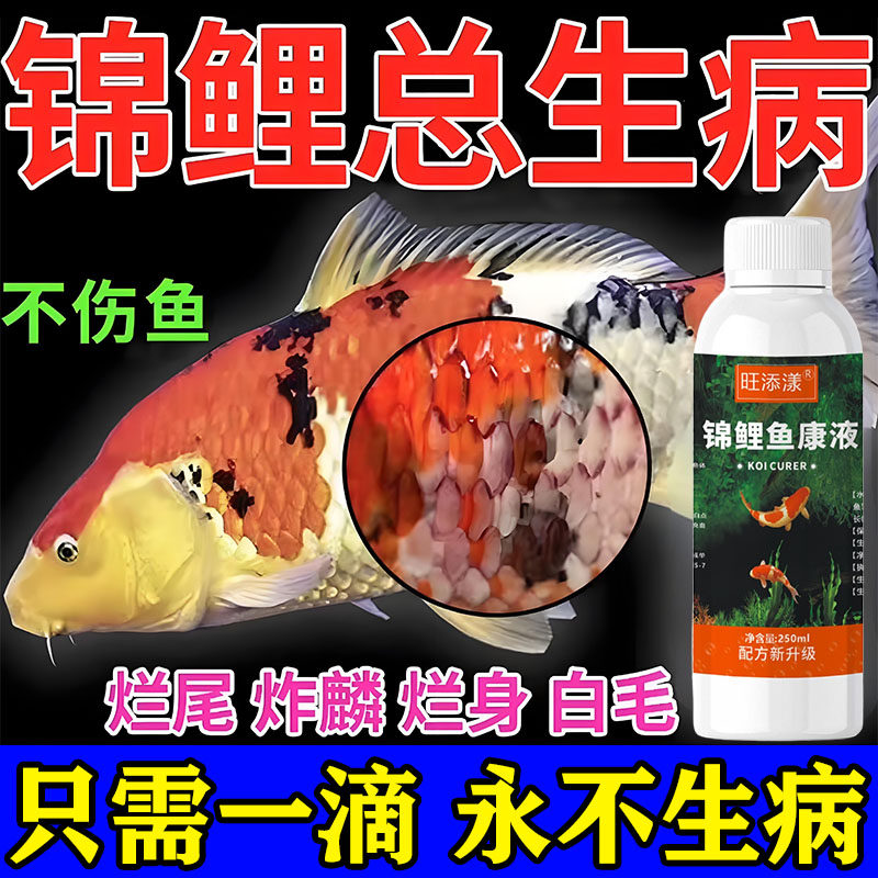 治疗烂身烂尾嘴水霉白点炸鳞