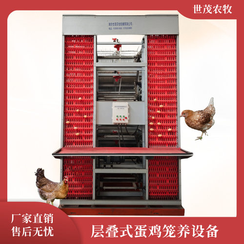 镀锌层叠蛋鸡养殖笼自动清粪H型式蛋鸡笼中小型养殖3层四层养鸡笼