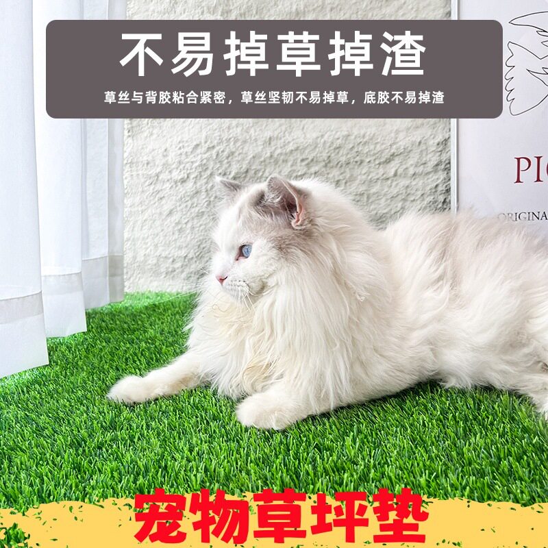 可水洗人造草坪宠物厕所垫阳台仿仿真绿植