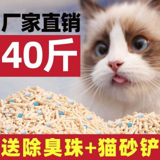 诺肯40斤豆腐猫砂活性炭包邮10公斤20装混合豆腐砂膨润土除臭无尘