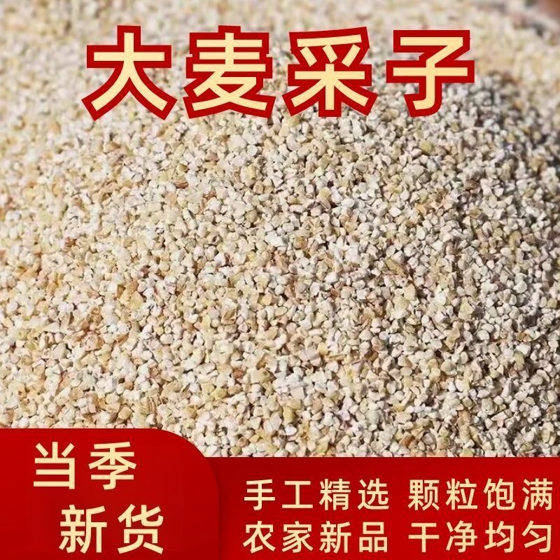 特产大麦彩子五谷杂粮煮粥浓郁大麦糁多规格可选颗粒饱满