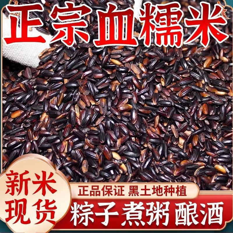 【香甜软糯】新血糯米颗粒饱满煮饭煮粥粽子软糯香甜五谷杂粗粮