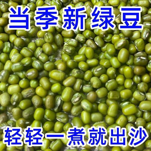 绿豆五谷杂粮现磨豆浆粉绿豆散装煮出沙煮粥煲汤营养健康农家