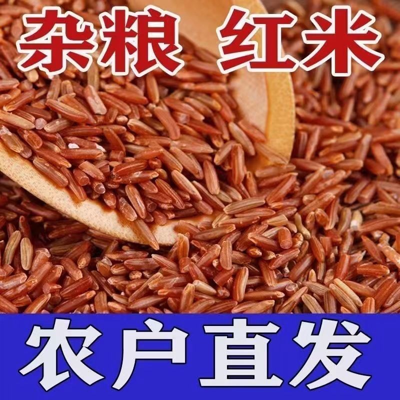 当季农家新红米新米农家红米红硬米大米五谷杂粮食用当季粗粮