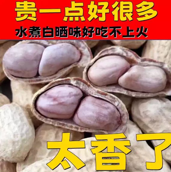 实惠装龙岩水煮白晒花生香韧有嚼劲咸香下酒零食即食坚果