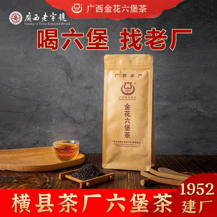 广西横县金花六堡茶2005年桂青种品鉴装陈年茶老茶100克袋装
