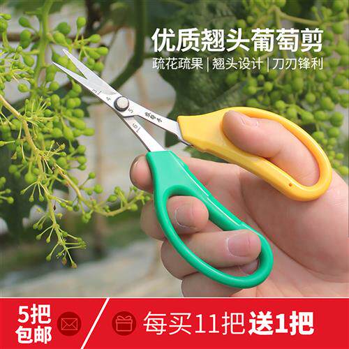 翘头葡萄剪刀采果采摘剪园艺桔子稀果剪果树疏果修枝专用剪花艺剪