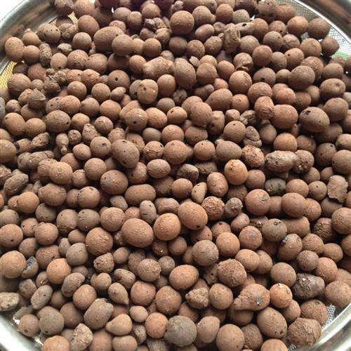 多孔陶粒 花盆垫底 透气透水 陶土粒 盆底石 多肉种植 铺底8-15MM