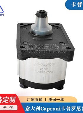 卡普罗尼Caproni齿轮泵10A(C)2X302B 10A(C)4.2X488B 10A6.1X348