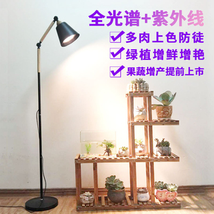 多肉植物补光灯仿太阳家用上色生长灯全光谱太阳灯多肉植物光照灯