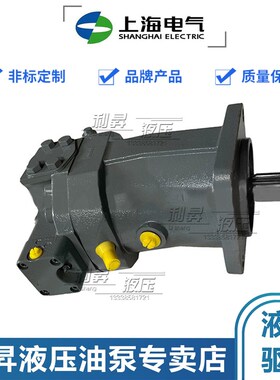 上海电气斜轴式柱塞泵A6VM28/55/80/107/160/200EP2D/63W变量马达