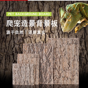 CM爬箱专用背景板3D立体背景墙爬箱生态造景水族缸玻璃缸雨淋造景