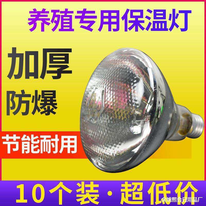 保温灯猪用小猪保暖灯鸡养殖场猪场育雏养殖烤灯加热取暖灯泡直销