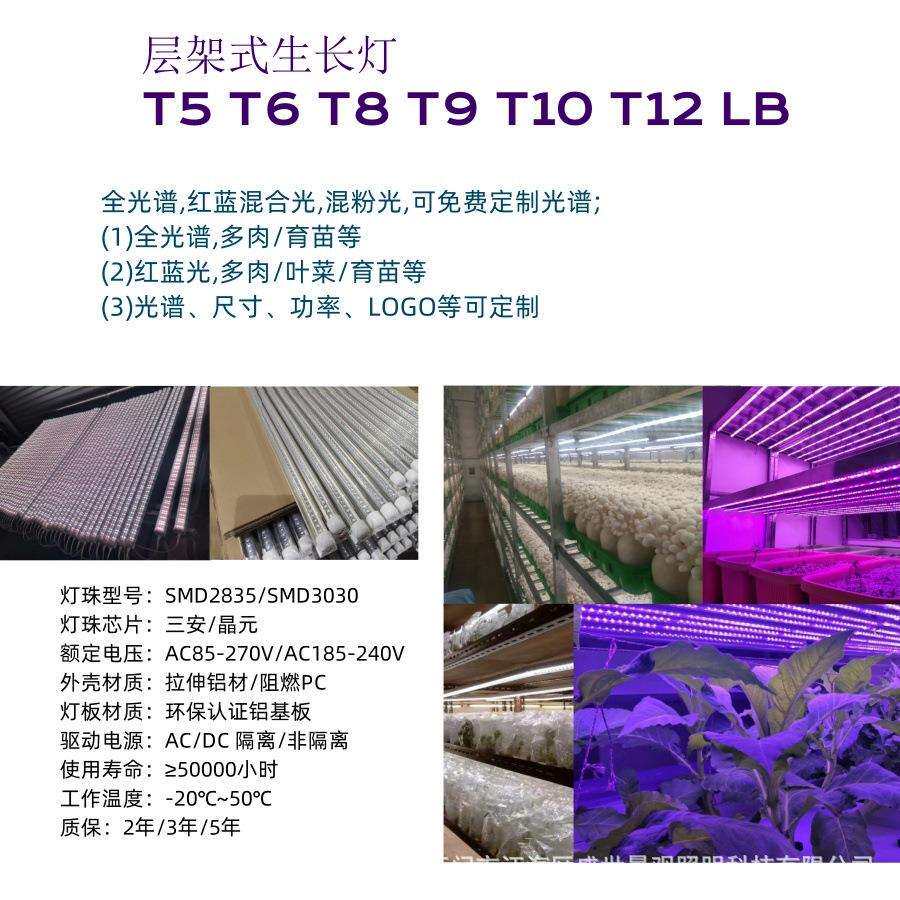 层架式LED植物补光灯,LED植物育苗生长灯,T5防水单排13瓦灯条