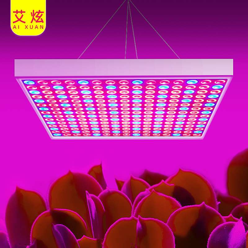 225贴片led植物灯 2835贴片方形面板灯 45w红蓝植物灯温室生长灯