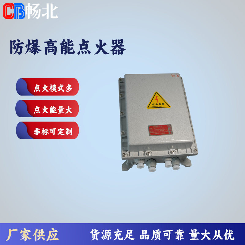 源头厂家工业火炬焚烧炉工业锅炉高能点火防爆规格全点火能量多选