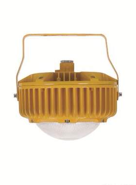 电厂50WLED防爆平台灯 立杆防爆led灯50w 兰州LED防爆平台灯70w