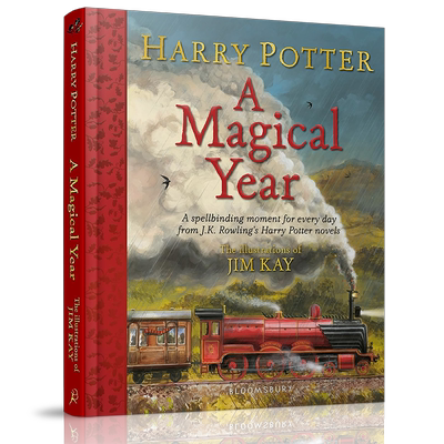 哈利波特正版周边英文版