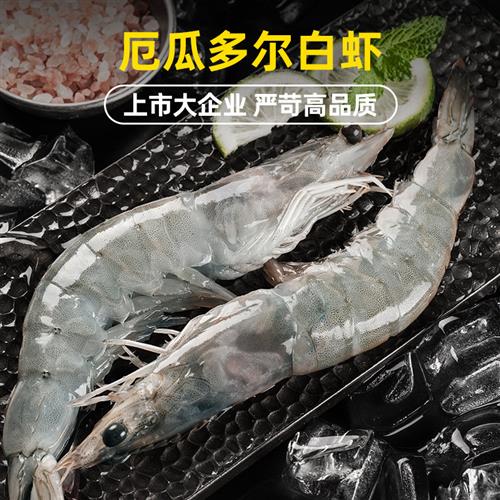 国联水产大虾鲜活速冻海虾生鲜虾类盐冻3040厄瓜多尔白虾南美白虾