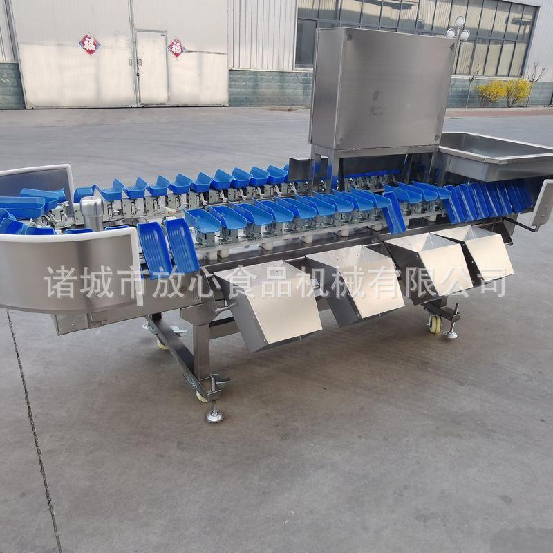 智能称重全分选机 大闸蟹牡蛎HJC鲍鱼海参称重选机 自动分重量分