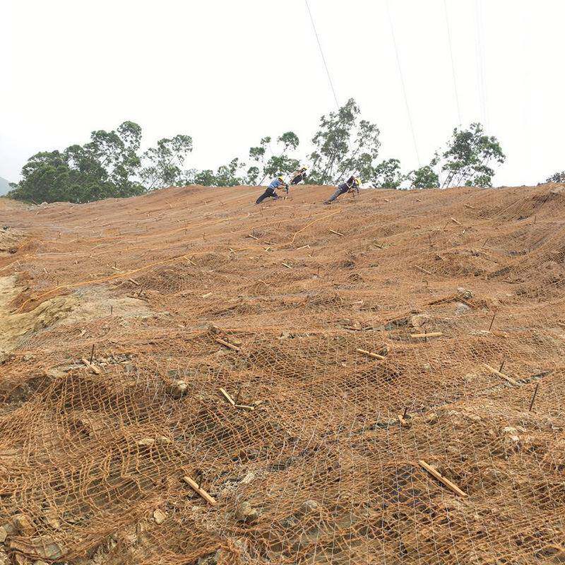 边坡防护椰网绿化工生态坡材料土植物护纤维网CCZJ垫F网厂家