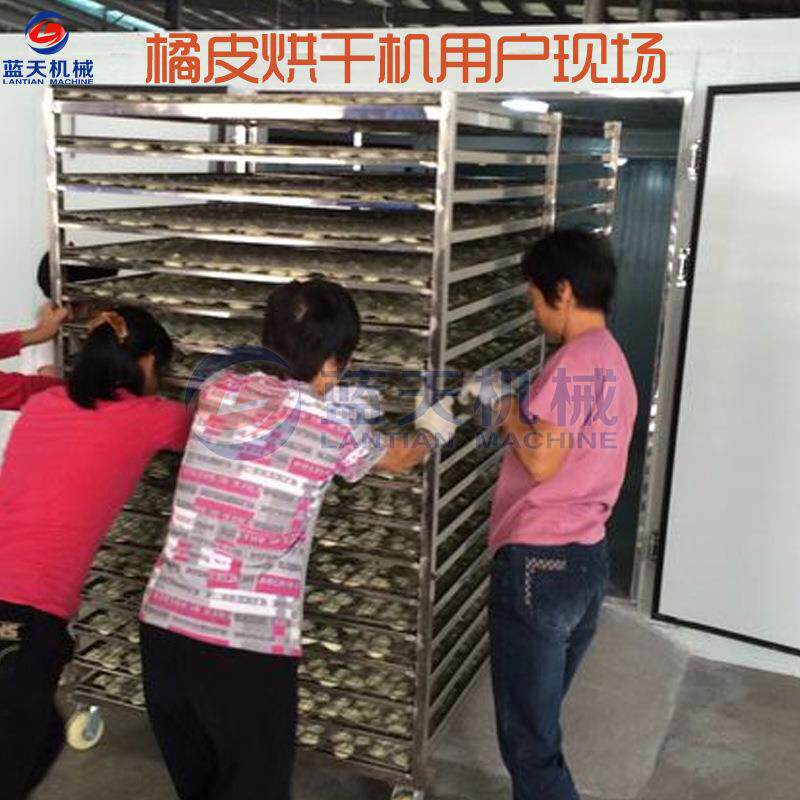空气能橘子设皮烘干皮 LFK大型陈皮桔子皮橘皮丝电烤房 机柚子烘