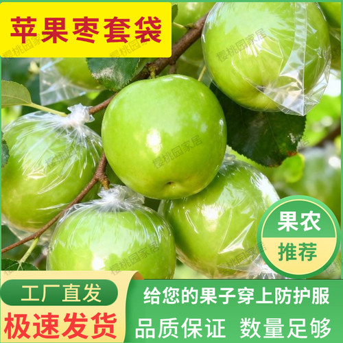 青枣袋袋百香果石榴套袋防虫果袋专用水果保护透明专用袋防虫果袋