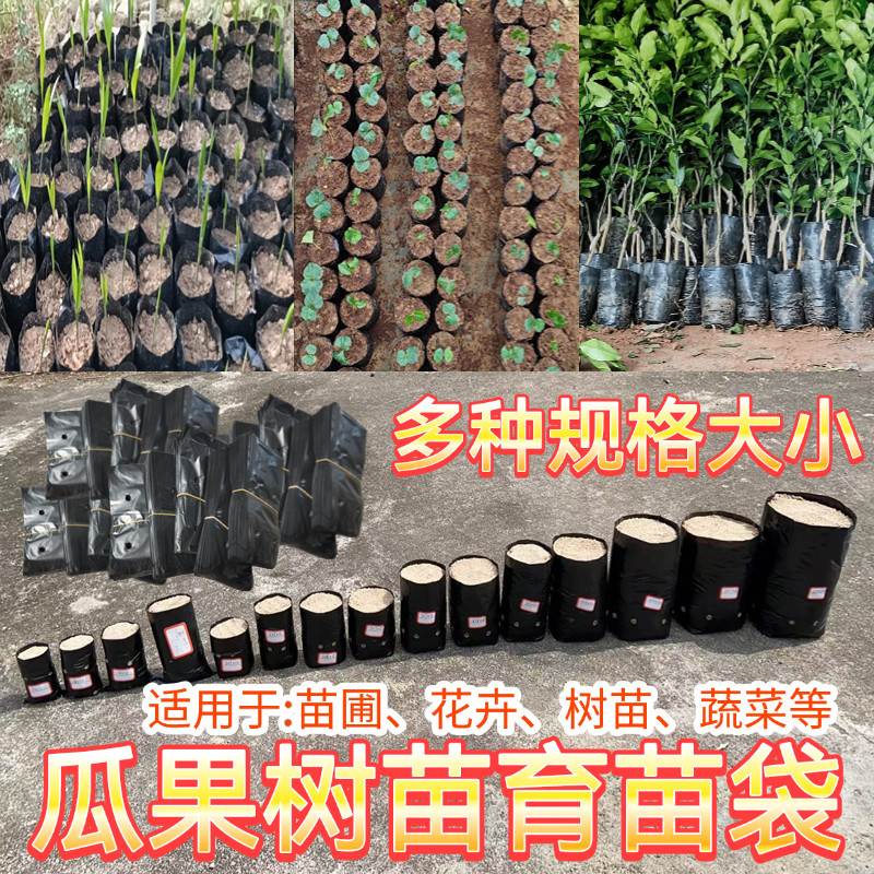 大号育苗槟榔育苗袋种咖啡种植神器育苗培养黑色育苗袋加厚营养袋