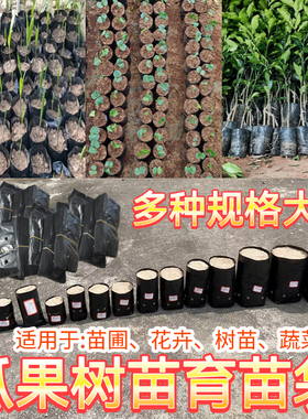 大号育苗槟榔育苗袋种咖啡种植神器育苗培养黑色育苗袋加厚营养袋