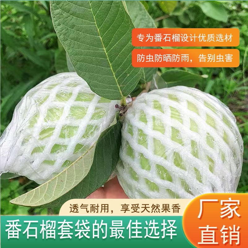番石榴套袋 芭乐专用防虫网套 芭乐套袋 番石榴网套袋 石榴网套