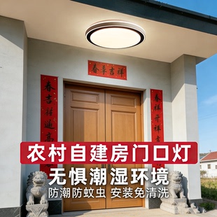 别墅大门口吸顶灯农村自建房入户门厅室外房檐阳台走廊新中式灯