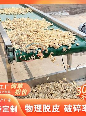 桃仁脱清洗流核水线 核桃食品加皮工设 杏仁核桃仁滚WOP筒式去皮