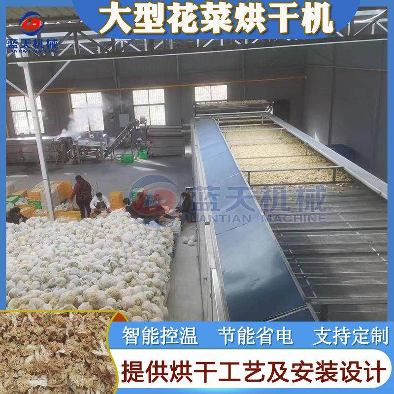 大型花菜烘干机 全自动西兰花菜薹菜茎烘干设备 蔬菜粉加工生产线,机械设备,干燥机/干燥箱/烘干机,淘宝优惠券,粉丝福利购,淘宝优惠卷