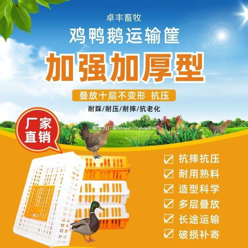 家用筐成塑料运输鸡笼养殖周转箱鹅鸽子笼笼子兔笼大号笼鸡垒德株