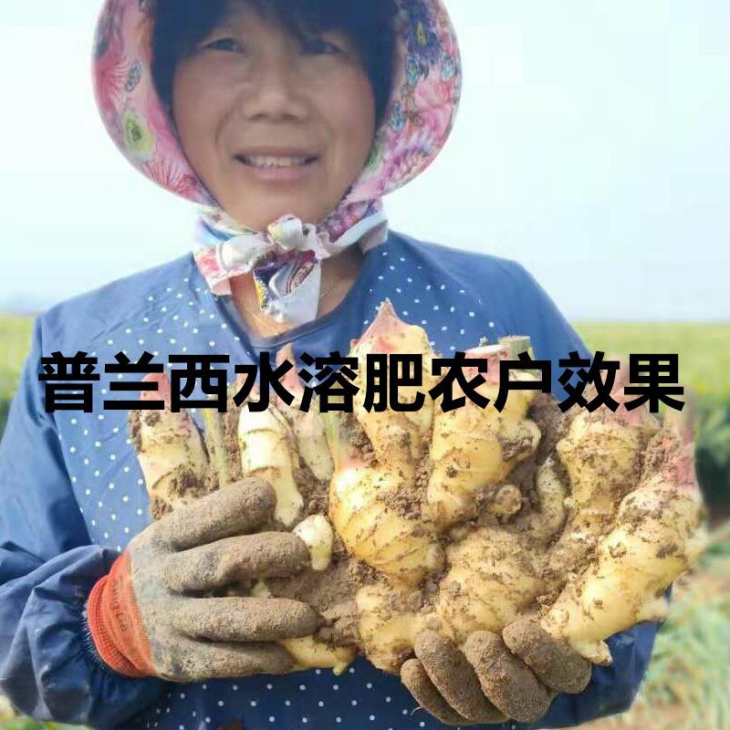 大量元素水溶肥生根彭果农业复合化肥大姜果树高氮滴灌复合肥20KG