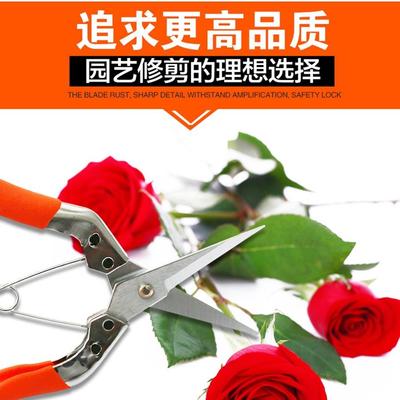 KOTESO开拓者KT110摘果剪 稀果剪 采果剪 疏花剪直头长刃果树剪