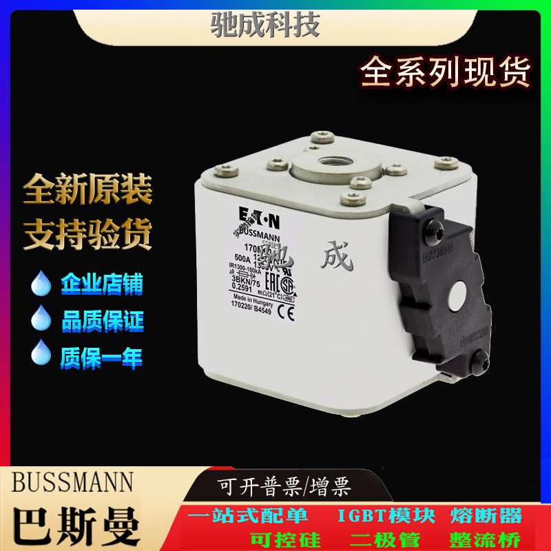 巴斯曼170M6341 170M6342 170M6343 经销 直销价优 快速保险丝