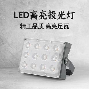 TRIAC可控硅聚光led投光灯50W户外照树灯防水景观草坪氛围七彩灯