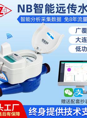 源智头NB智能远传水表小流费小LXSY-15区能物联缴网铁壳无阀水表